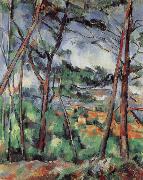Paul Cezanne Lanscape near Aix-the Plain of the arc river china oil painting artist
